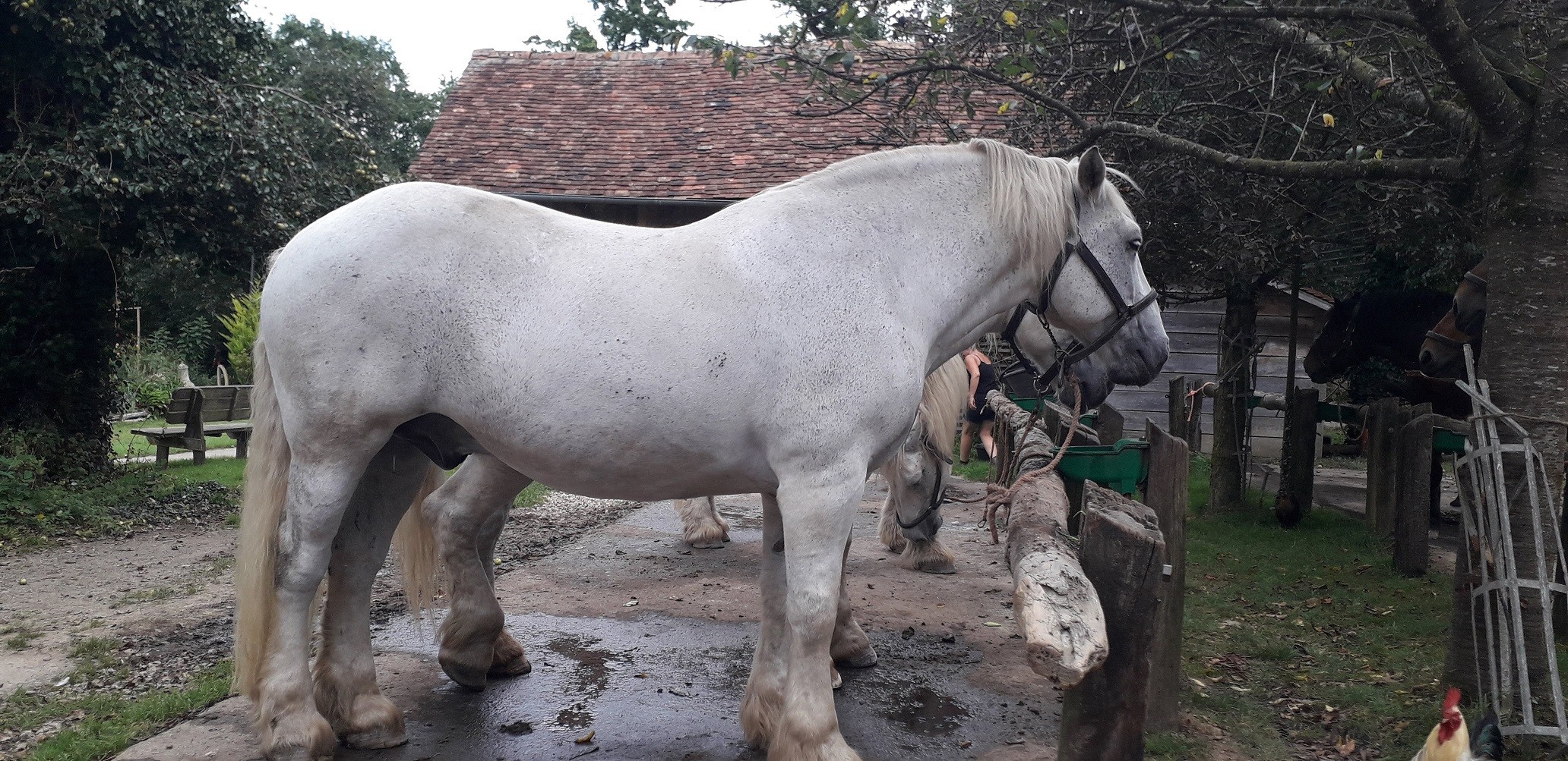  10 sept 2023 la michaudiere 25