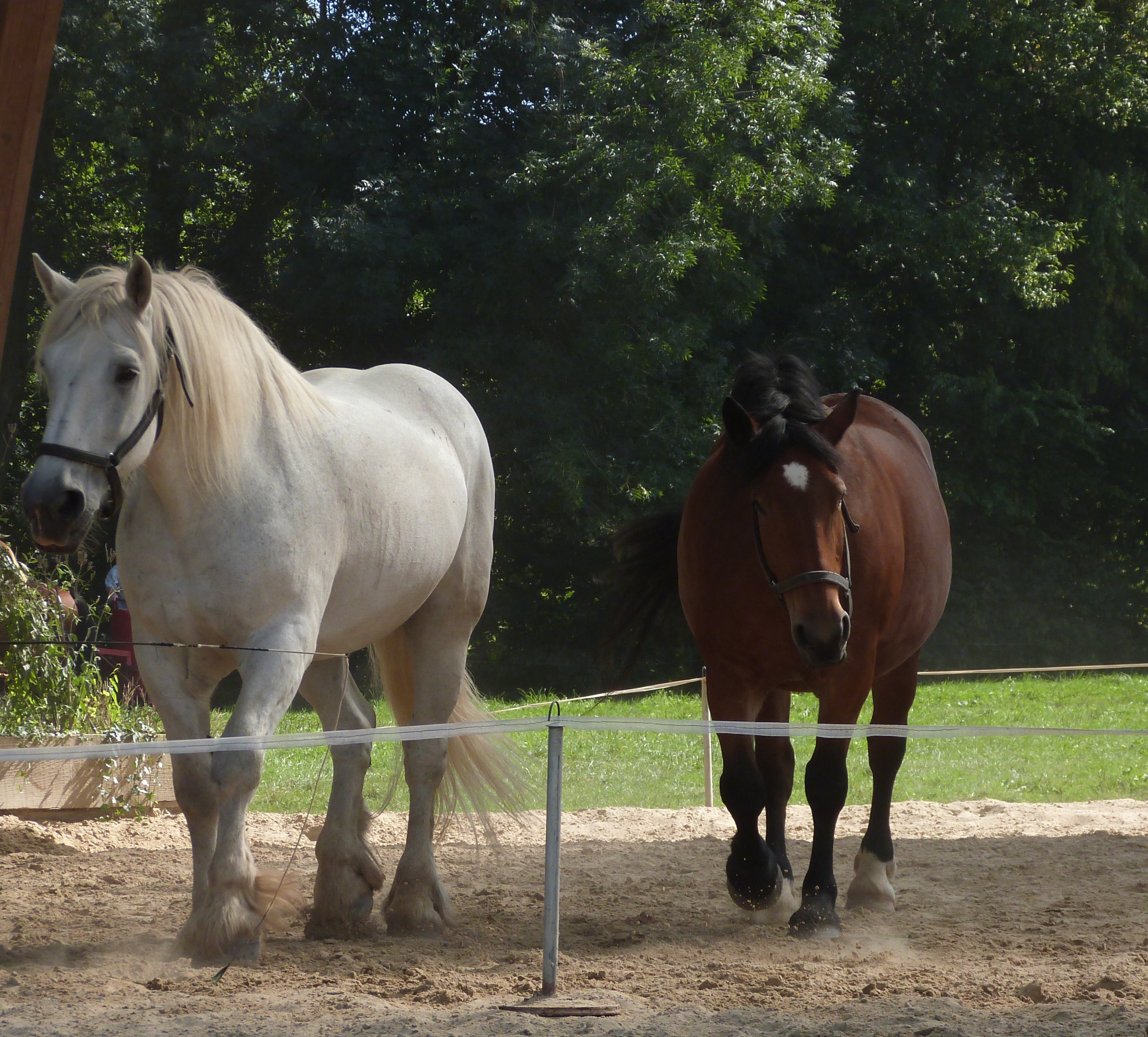 10 sept 2023 la michaudiere 17