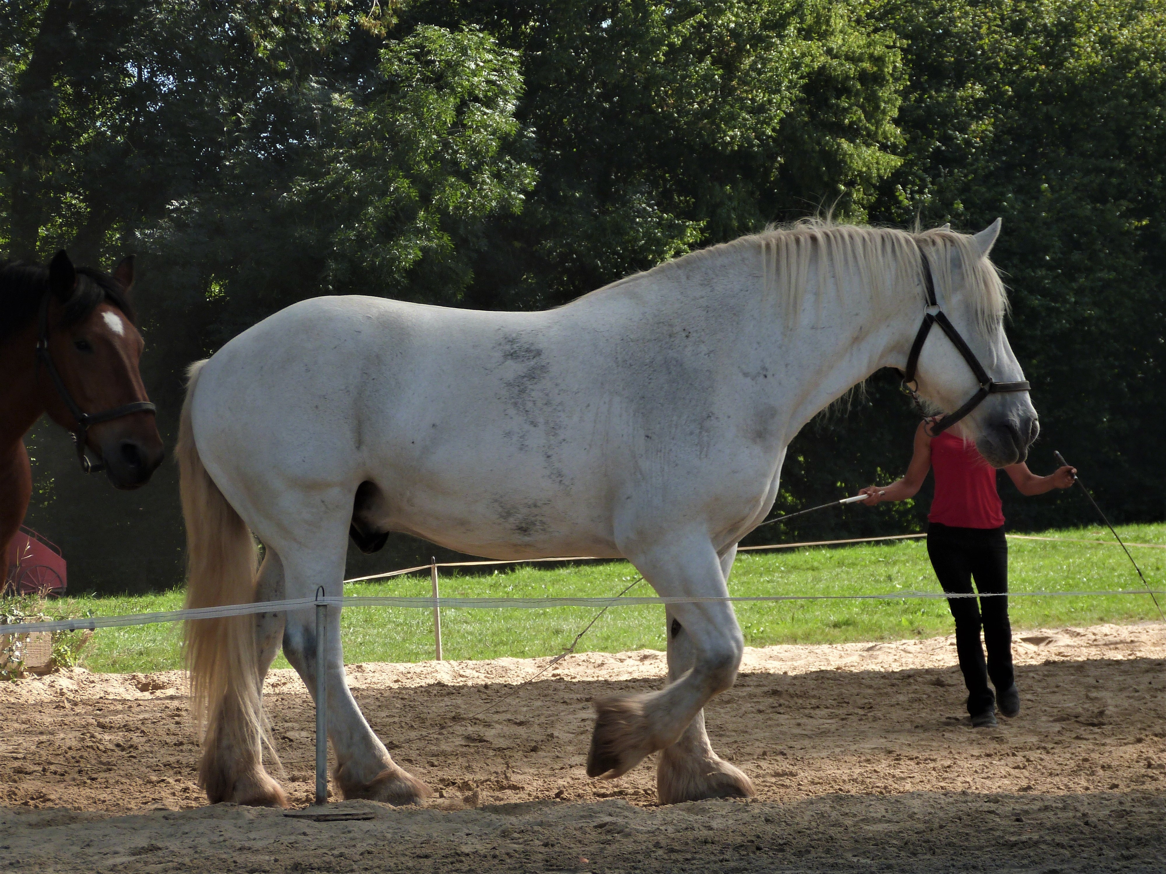 10 sept 2023 la michaudiere 18