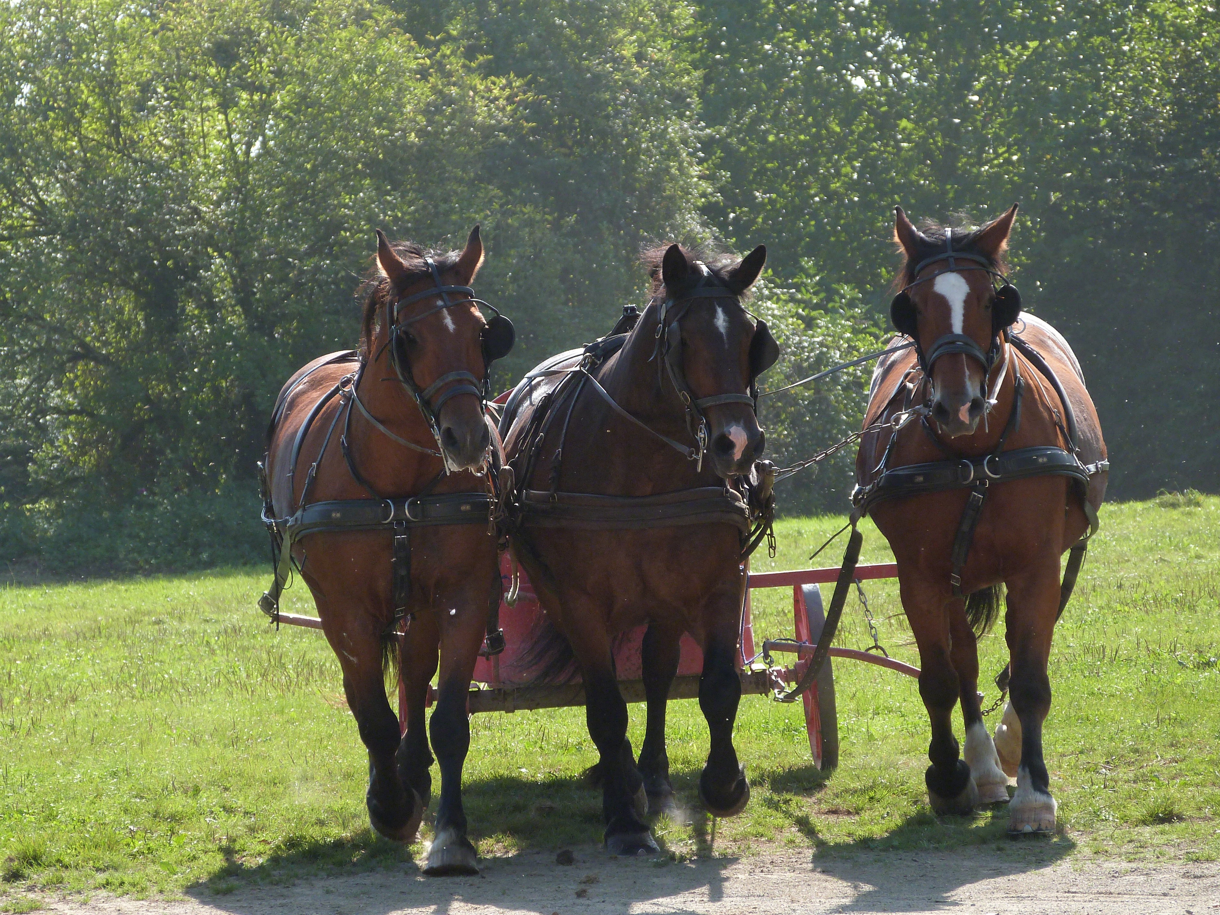10 sept 2023 la michaudiere 22