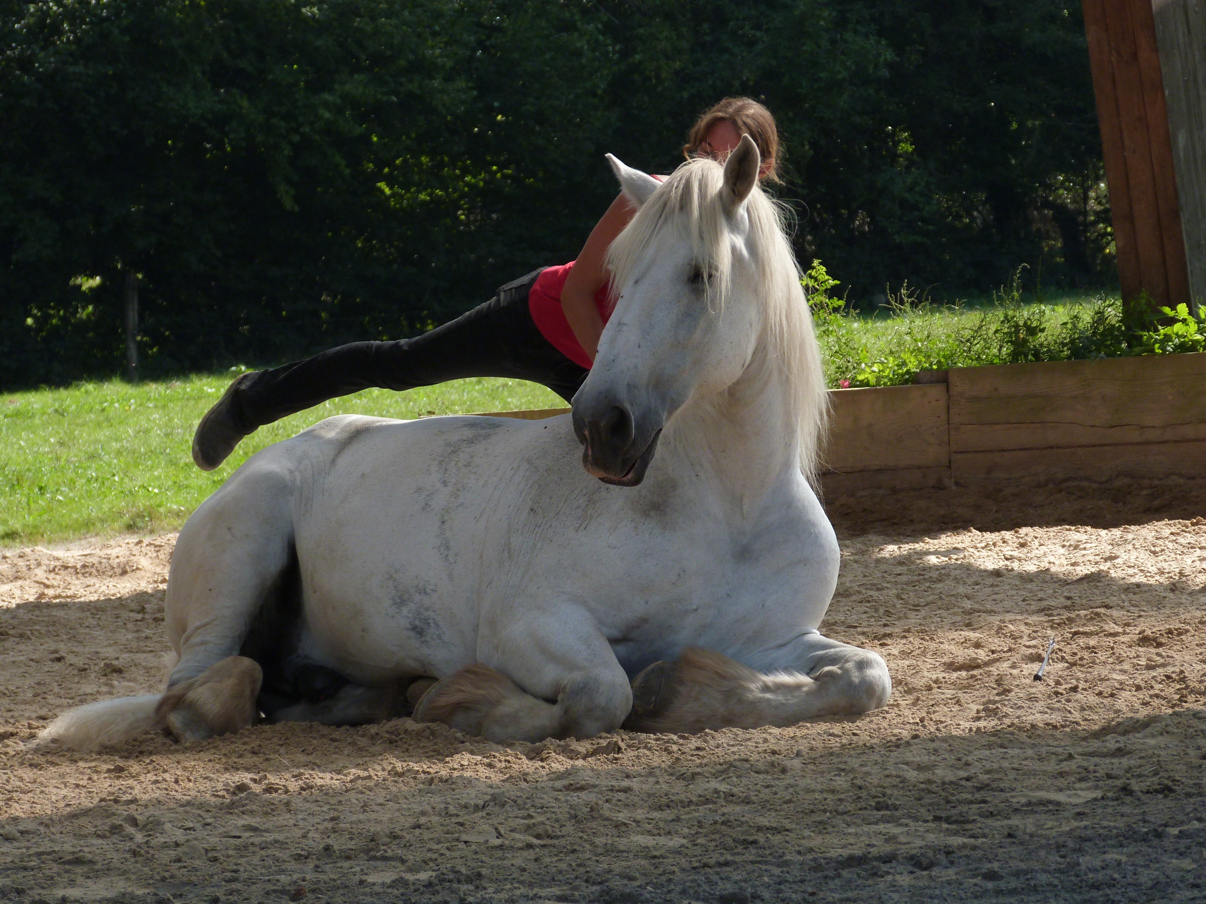 10 sept 2023 la michaudiere 24