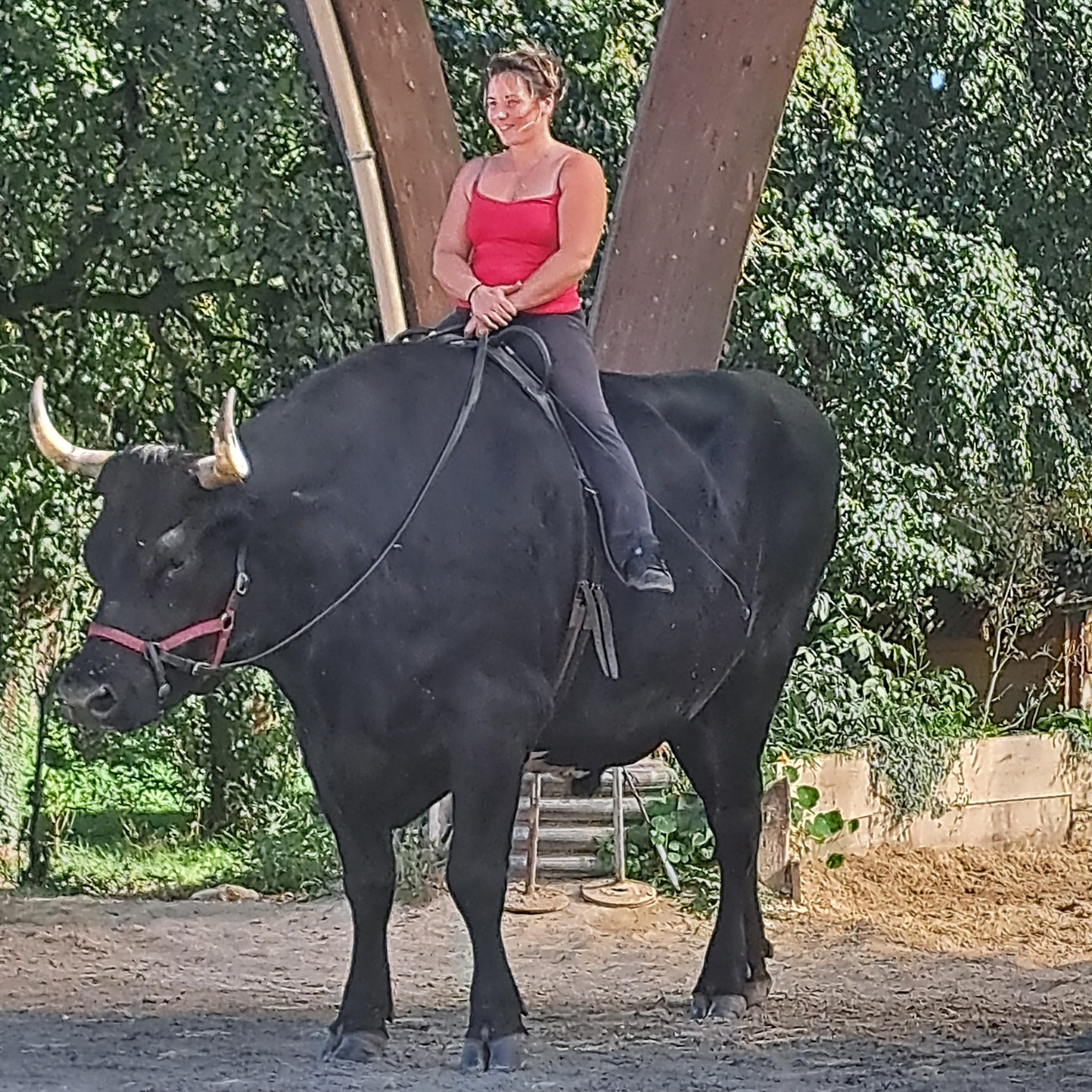 10 sept 2023 la michaudiere 26