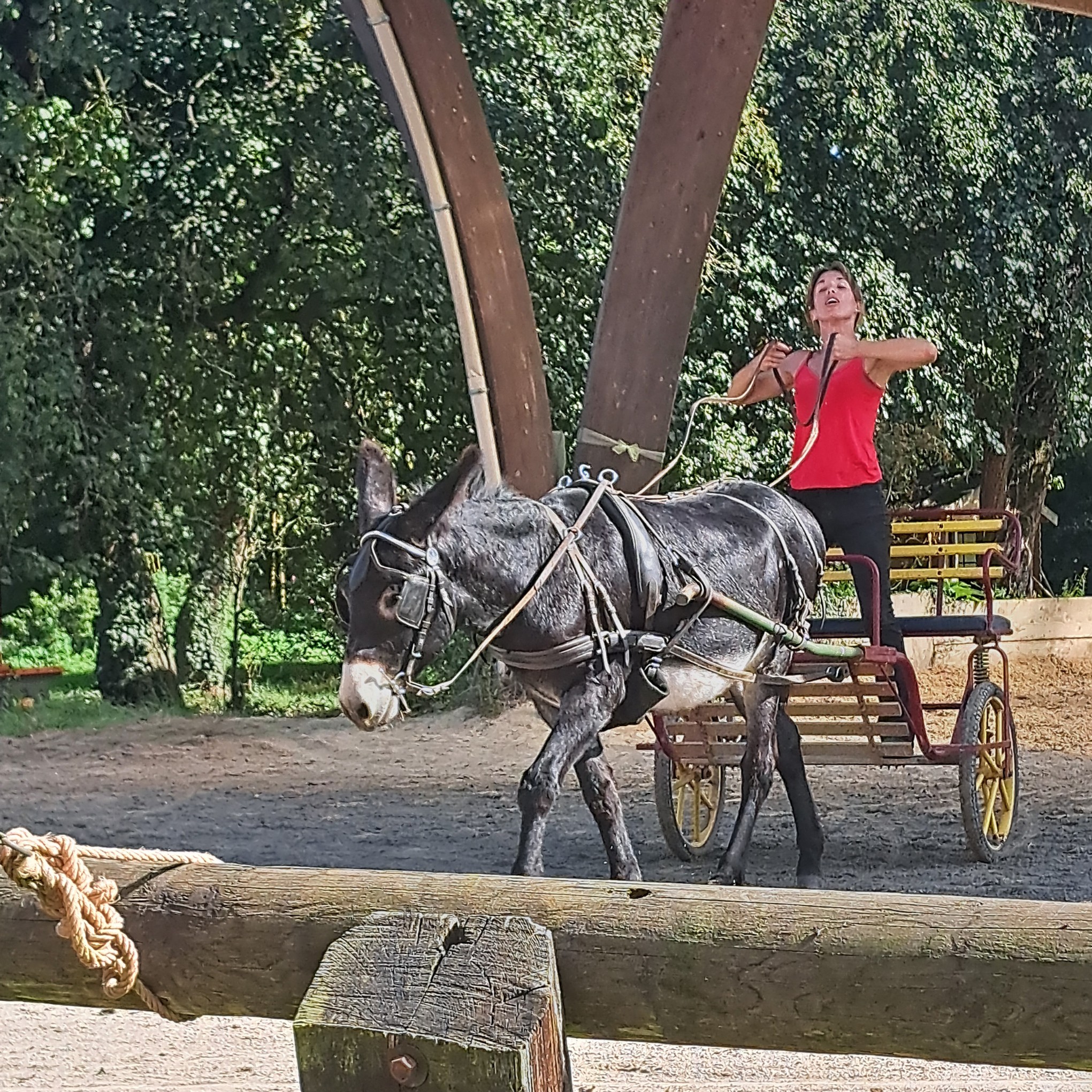 10 sept 2023 la michaudiere 27