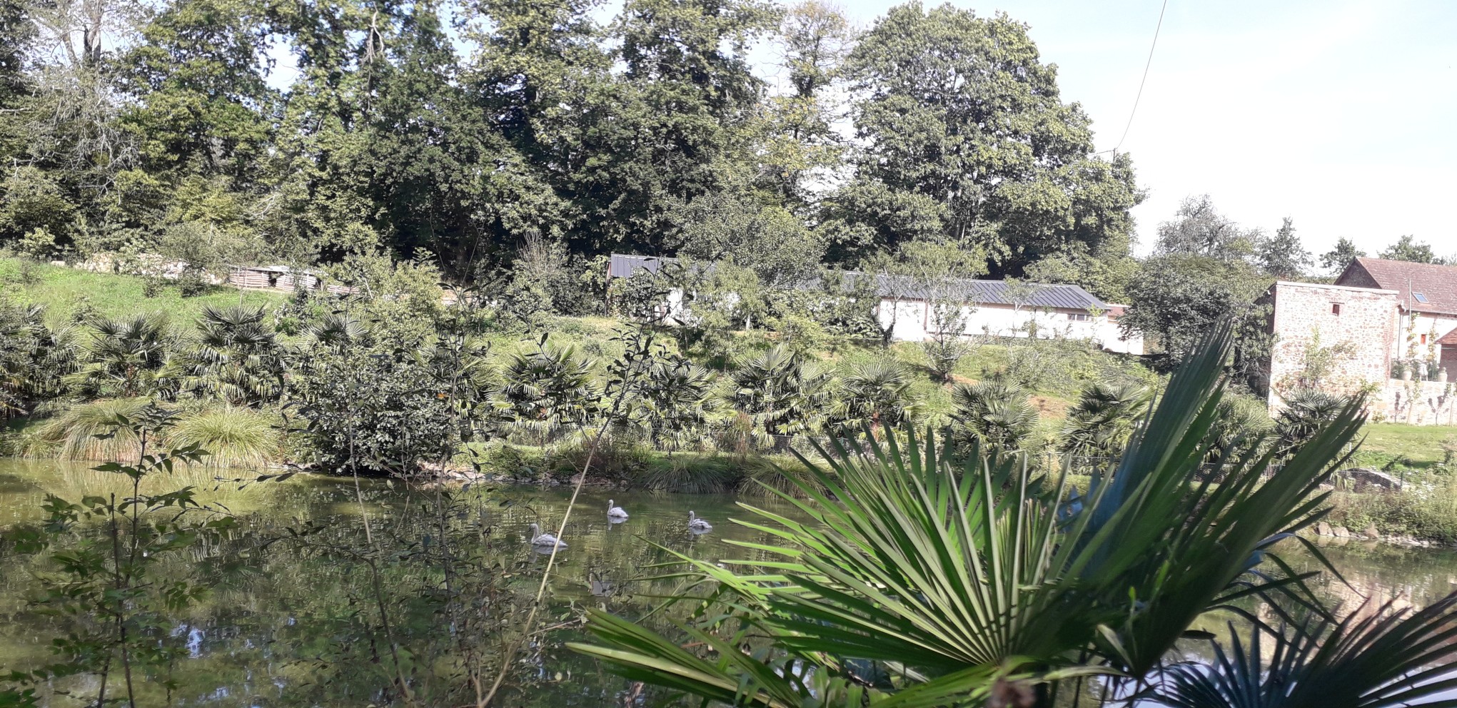 10 sept 2023 la michaudiere 31