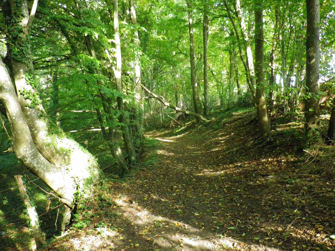 La Madeleine-Bouvet