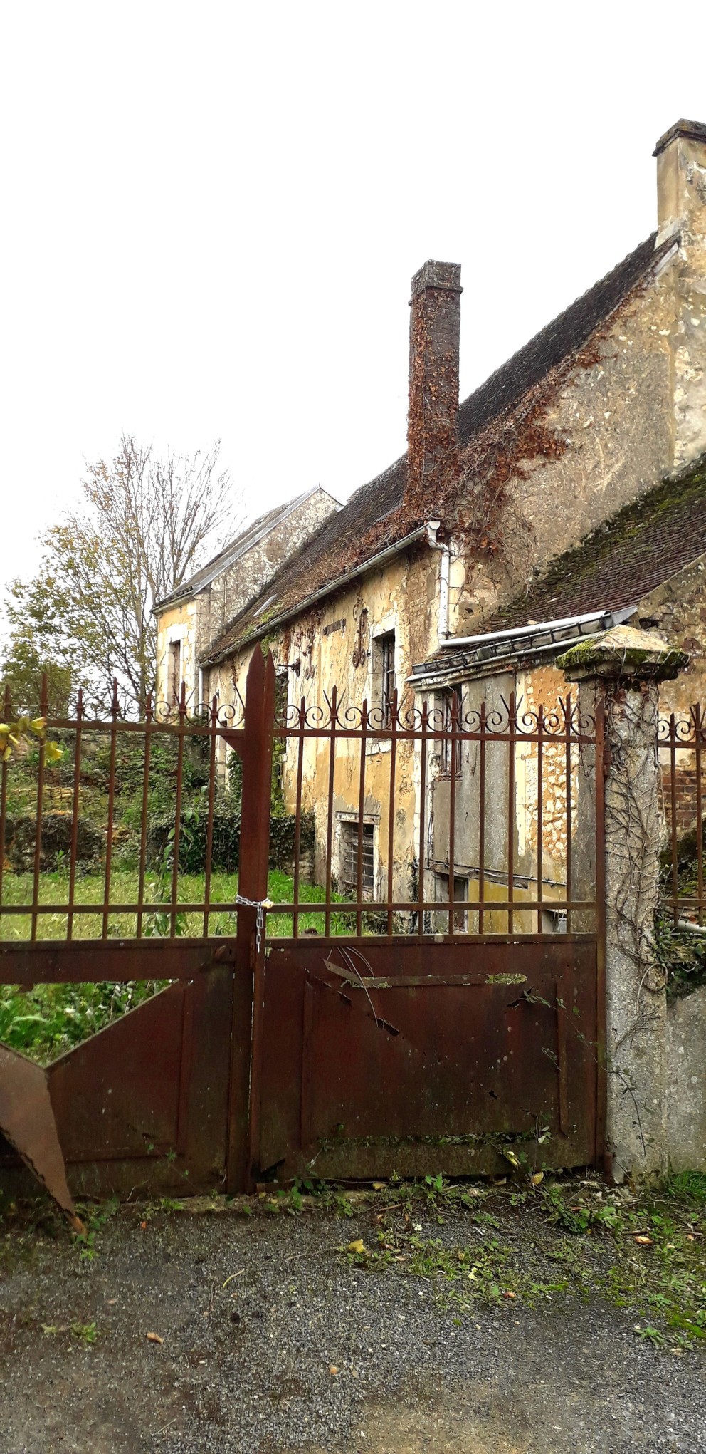 8 nov 2023 margon 16