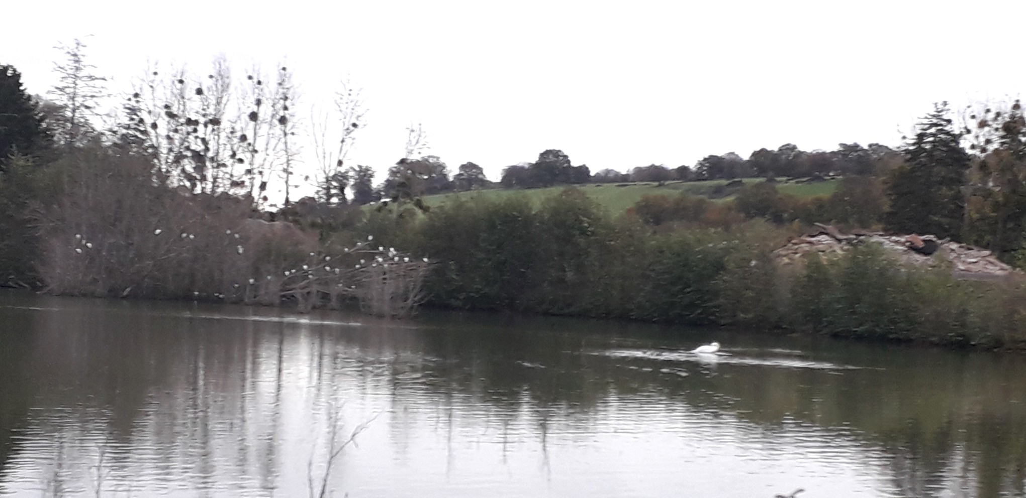 8 nov 2023 margon 20