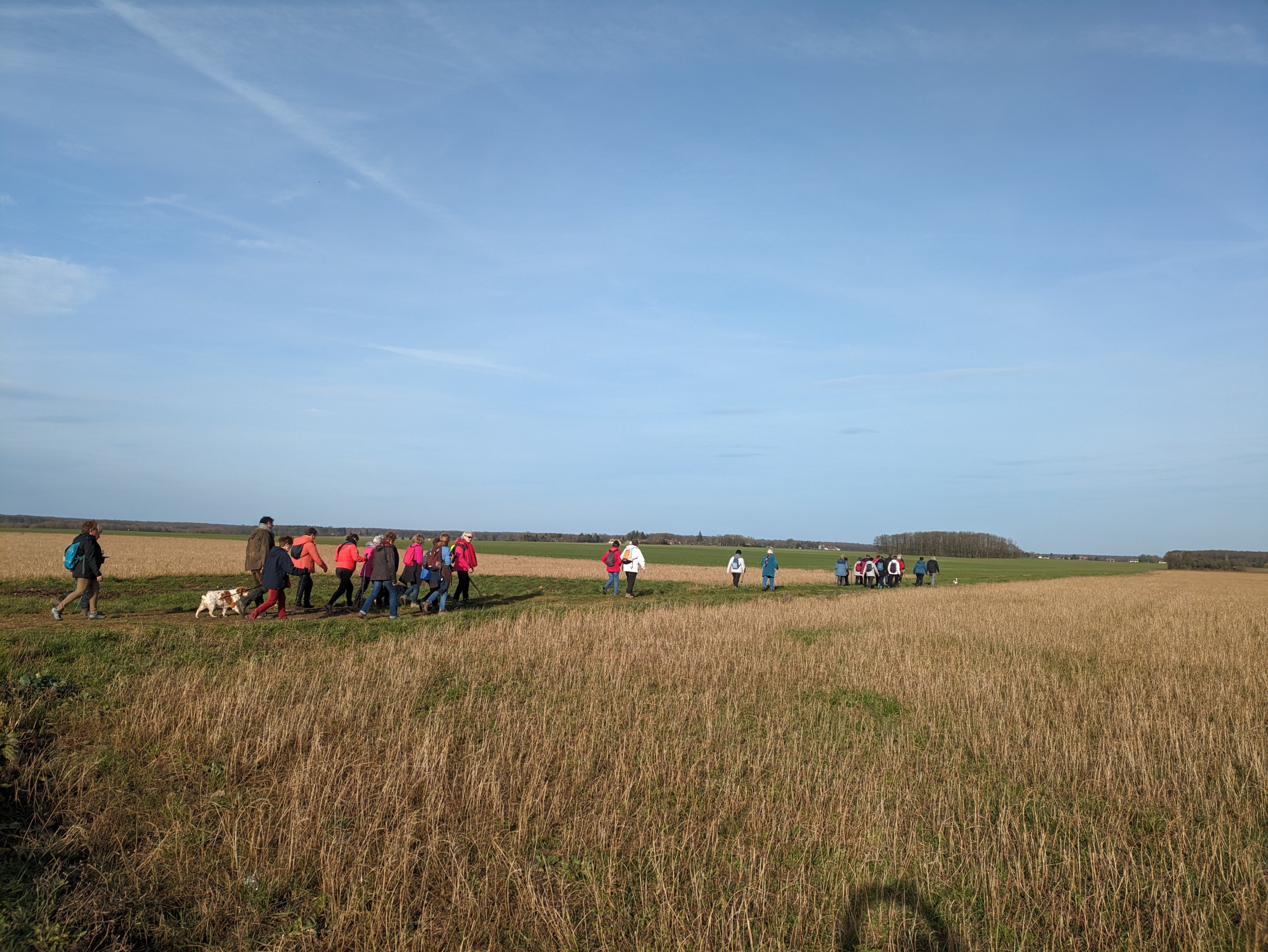 Mesnil thomas 29 jan 2024 7