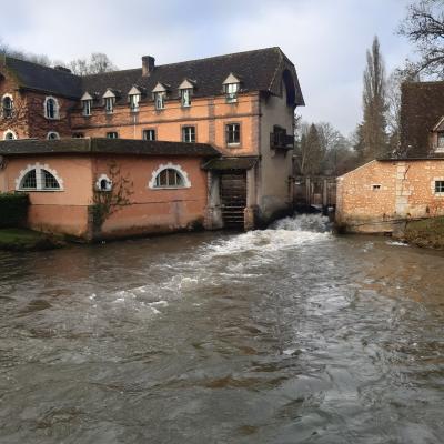 15 janvier 2025- Rando à Condé sur huisne